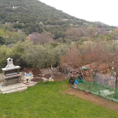 Martha'S Villa Nea Iraklitsa Exteriör bild