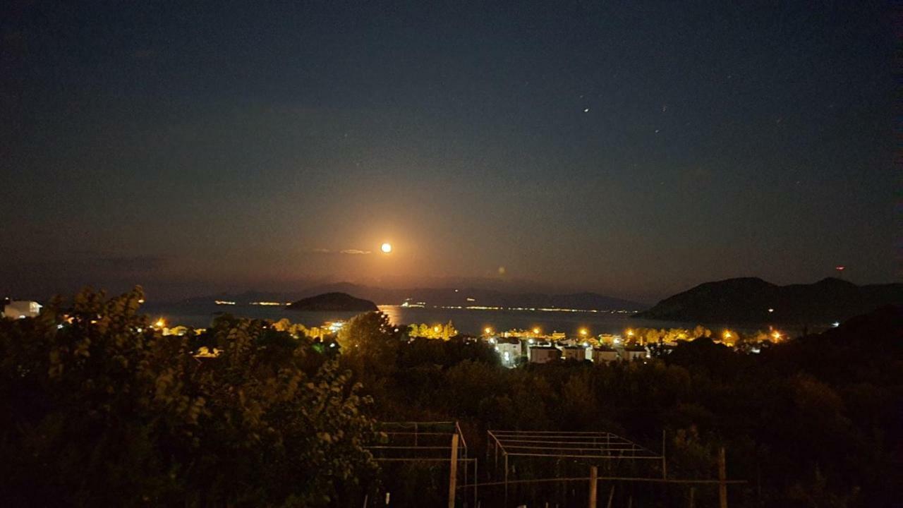 Martha'S Villa Nea Iraklitsa Exteriör bild